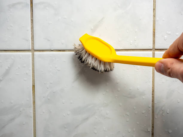 Best Mold Removal Company Near Me  in Pierceton, IN