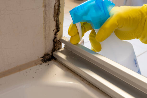 Best Professional Mold Removal  in Pierceton, IN