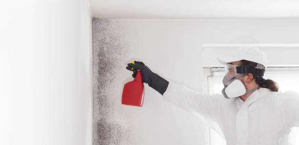 Pierceton, IN Mold Removal Company