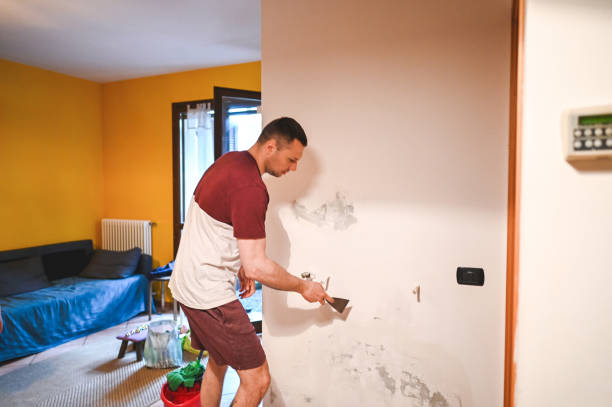 Best Water Damage Restoration  in Pierceton, IN