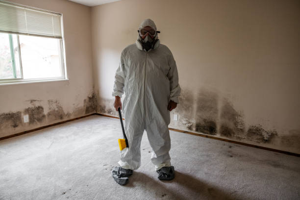 Best Toxic Mold Removal  in Pierceton, IN